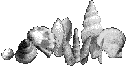 Died shells