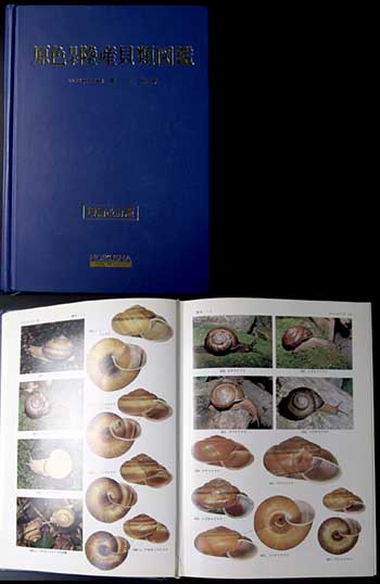 Micro shells : Bibliography