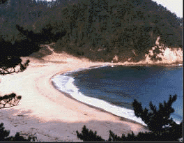 琴引浜