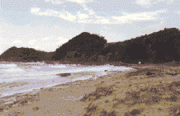 Koinoura-beach